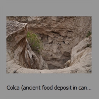 Colca (ancient food deposit in canyon walls for protecting and cooling) near Coporaqe